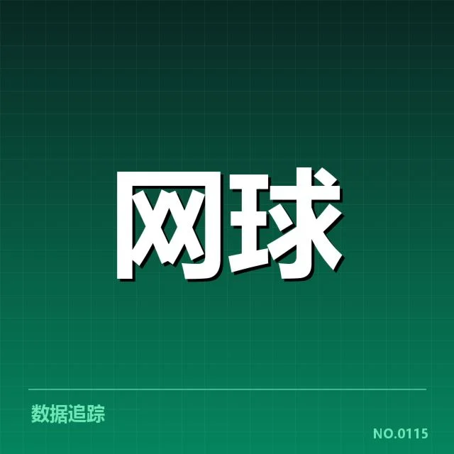 俄罗斯顶尖选手近期伤病确凿信息
